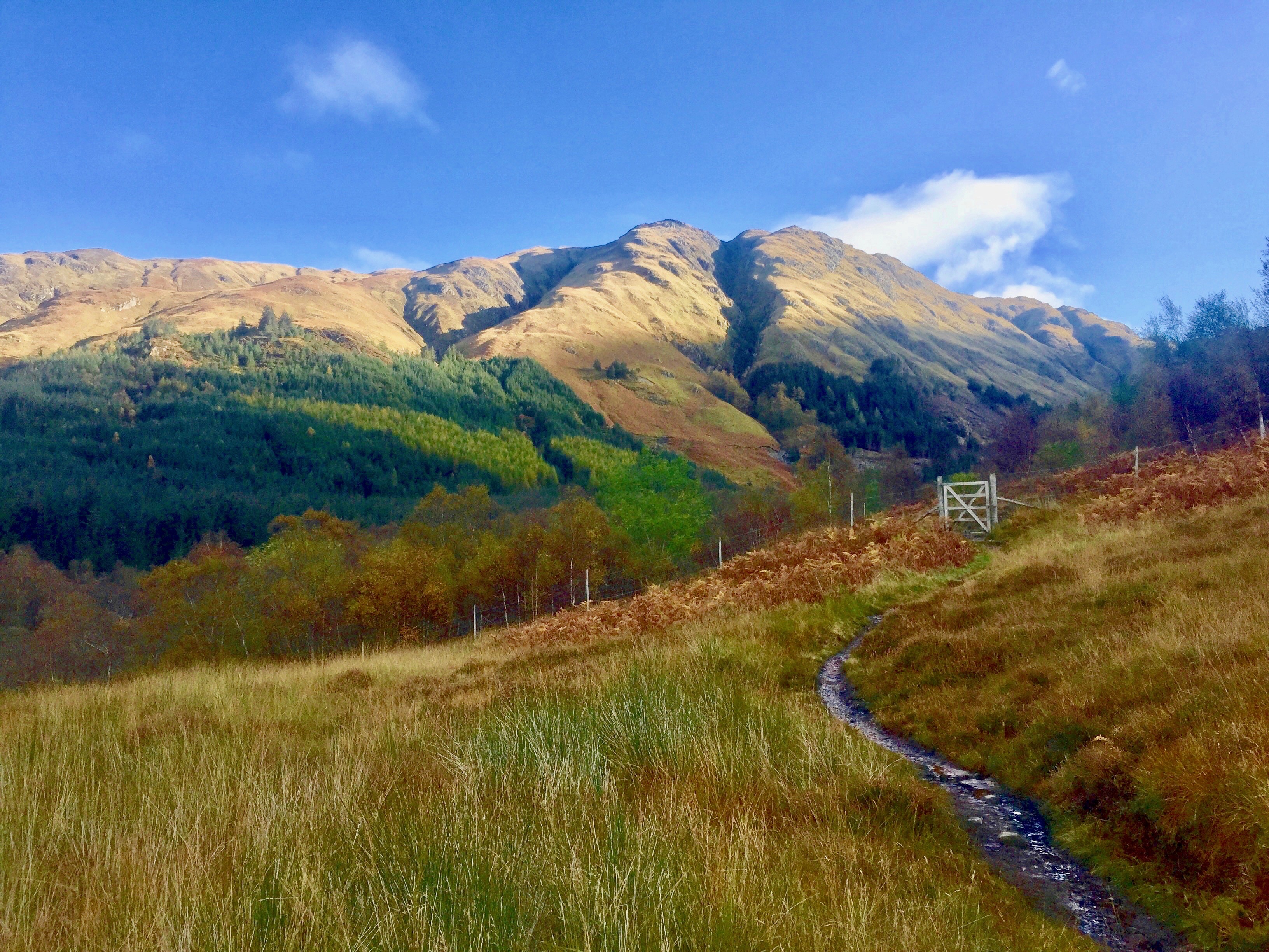 3A West Highlands Alan Rowan